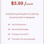 Silver Plan